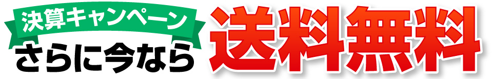 さらに今なら送料無料